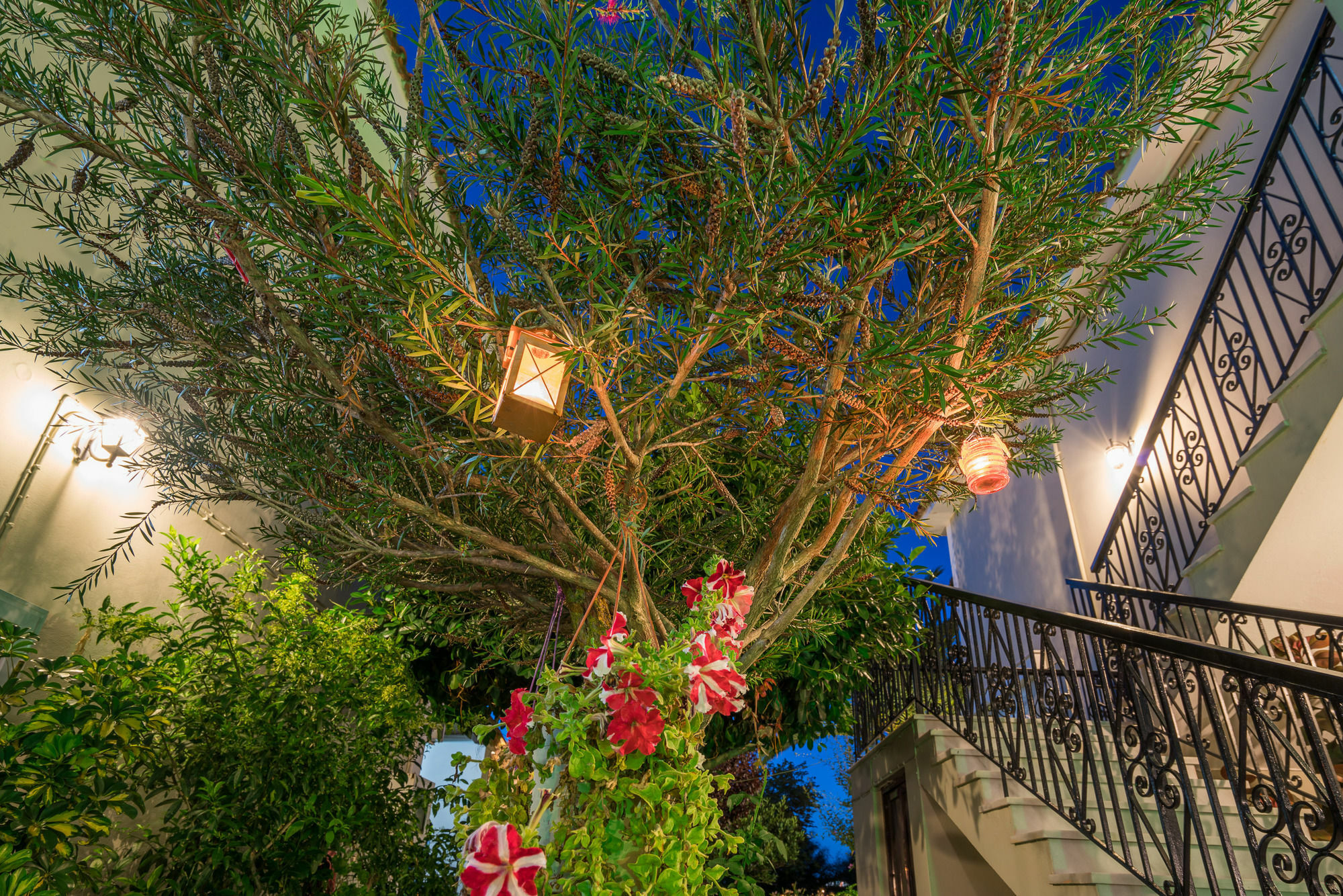 Tota Studios Tsilivi  Exterior photo