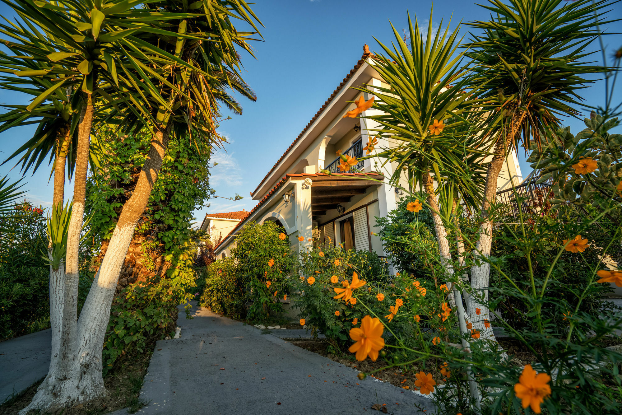 Tota Studios Tsilivi  Exterior photo