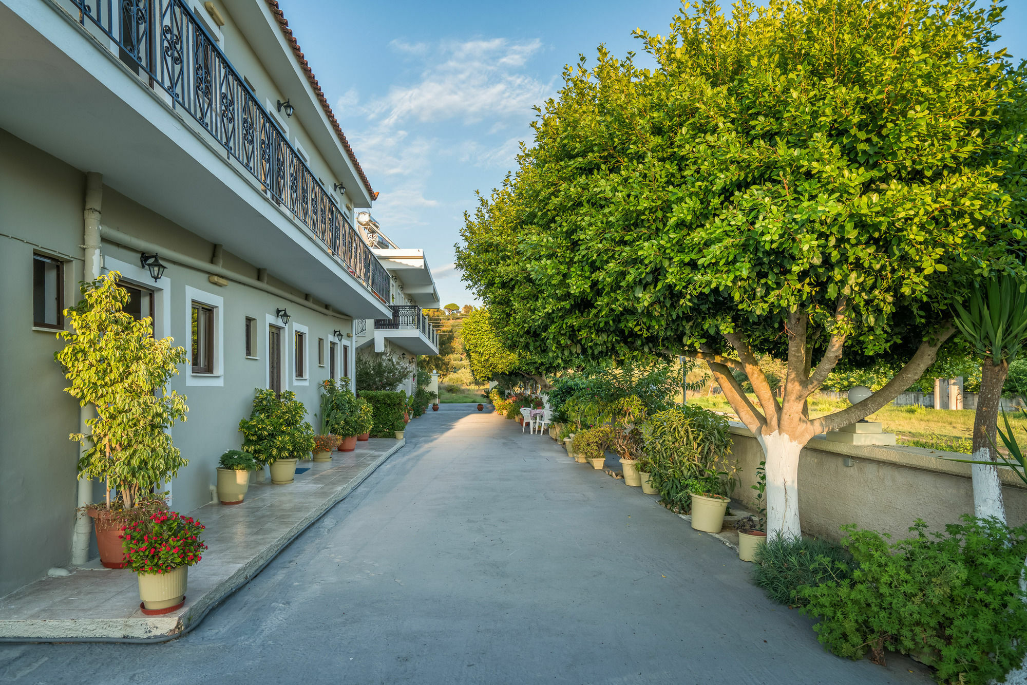 Tota Studios Tsilivi  Exterior photo